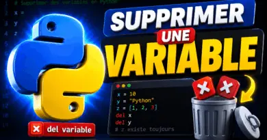comment-supprimer-une-variable-en-python