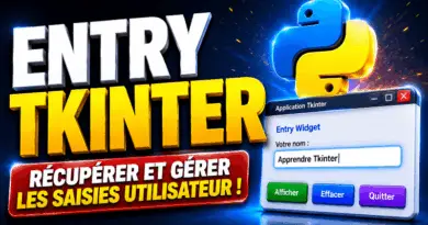 entry-tkinter-python-3