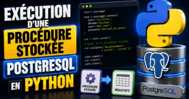 execution-dune-procedure-stockee-postgresql-en-python