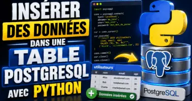 inserer-des-donnees-dans-une-table-postgresql-avec-python