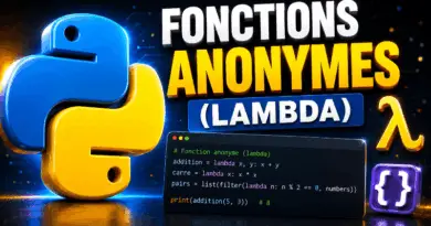 les-fonctions-anonymes-lambda-en-python