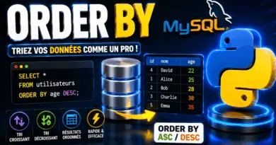order-by-trier-les-donnees-avec-python-mysql