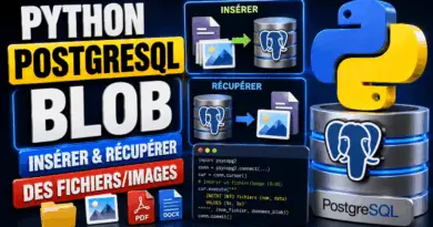 python-postgresql-blob-inserer-et-recuperer-des-fichiers-images