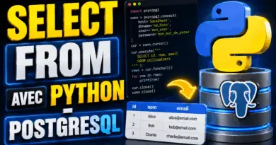 select-from-avec-python-postgresql