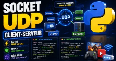 socket-udp-client-serveur-avec-python