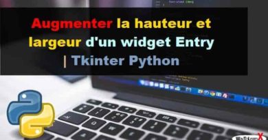Augmenter la hauteur et largeur d'un widget Entry - Tkinter Python