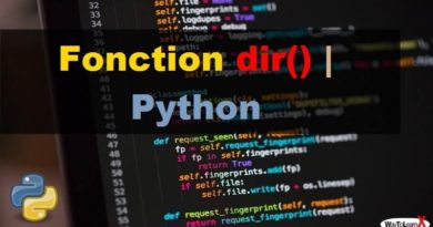 Fonction dir - Python