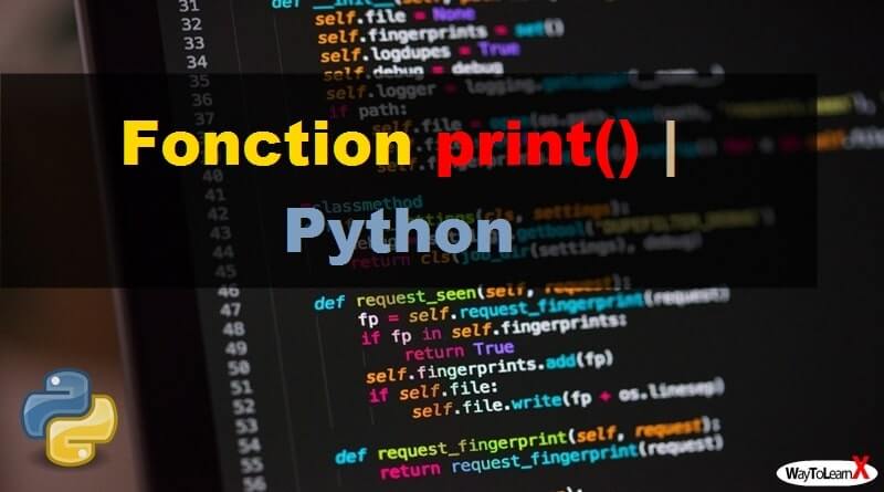 Méthode super() - Python - WayToLearnX