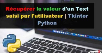 Récupérer la valeur d'un Text saisi par l'utilisateur Tkinter Python