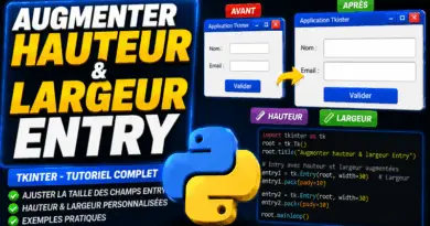 augmenter-la-hauteur-et-largeur-dun-widget-entry-tkinter-python