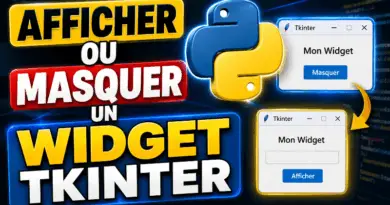 comment-afficher-ou-masquer-un-widget-tkinter-python