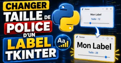 comment-changer-la-taille-de-police-dun-label-tkinter-python
