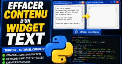 comment-effacer-le-contenu-dun-widget-text-tkinter-python