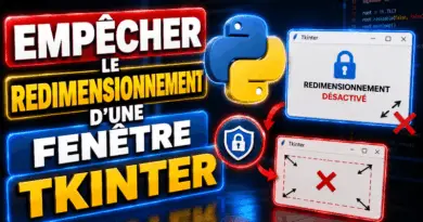 comment-empecher-le-redimensionnement-dune-fenetre-tkinter-python