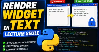 comment-rendre-le-widget-text-en-lecture-seule-tkinter-python