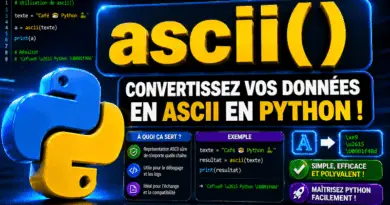 fonction-ascii-python