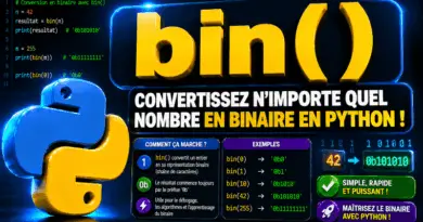fonction-bin-python