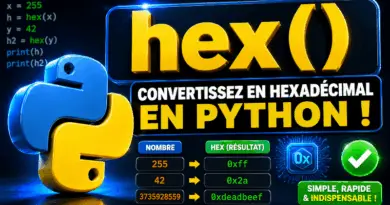 fonction-hex-python