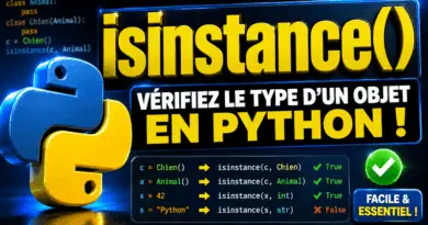 fonction-isinstance-python