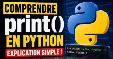 fonction-print-python