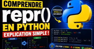 fonction-repr-python
