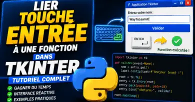 lier-la-touche-entree-a-une-fonction-dans-tkinter-python