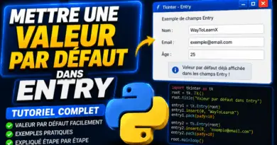 mettre-une-valeur-par-defaut-dans-entry-tkinter-python