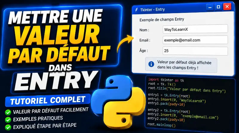 mettre-une-valeur-par-defaut-dans-entry-tkinter-python