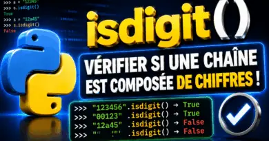 python-la-methode-string-isdigit