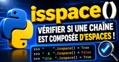 python-la-methode-string-isspace