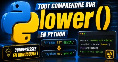python-la-methode-string-lower