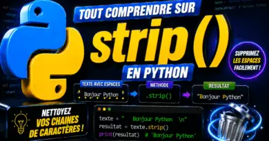 python-la-methode-string-strip