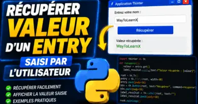recuperer-la-valeur-dun-entry-saisi-par-lutilisateur-tkinter-python