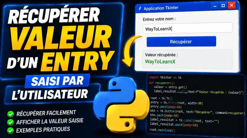 recuperer-la-valeur-dun-entry-saisi-par-lutilisateur-tkinter-python