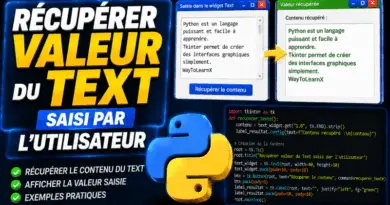 recuperer-la-valeur-dun-text-saisi-par-lutilisateur-tkinter-python