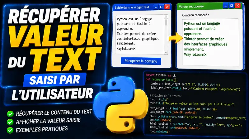 recuperer-la-valeur-dun-text-saisi-par-lutilisateur-tkinter-python