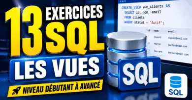 12-exercices-sur-les-requetes-sql-corrige-les-vues