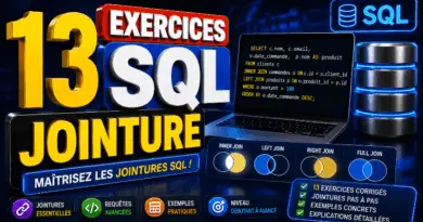 13-exercices-sur-les-requetes-sql-corrige-jointure