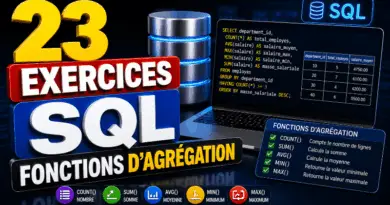 20-exercices-sur-les-requetes-sql-corrige-fonctions-dagregation