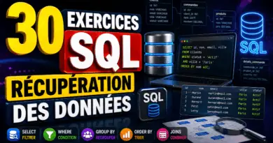 30-exercices-sur-les-requetes-sql-corrige-recuperation-des-donnees