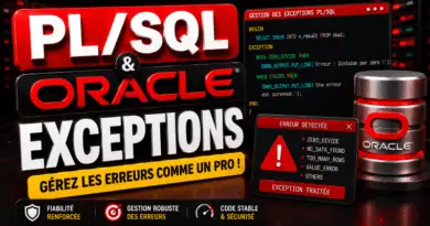 exercices-corriges-pl-sql-exceptions