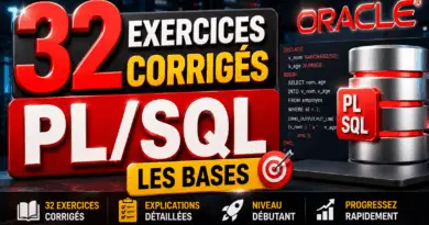 exercices-corriges-pl-sql-principes-de-base