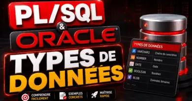 exercices-corriges-pl-sql-types-de-donnees