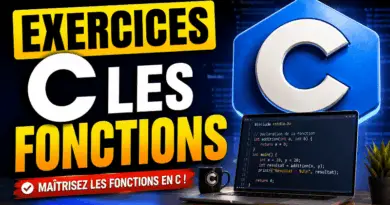 exercices-corriges-en-c-les-fonctions