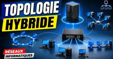 quest-ce-quune-topologie-hybride