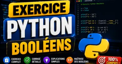 exercice-corrige-booleens-en-python