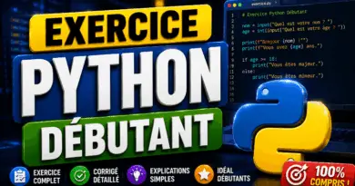 exercice-corrige-python-pour-debutant