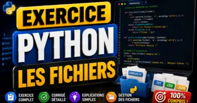 exercice-corrige-les-fichiers-en-python