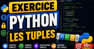 exercice-corrige-les-tuples-en-python