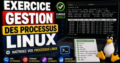 exercice-corrige-gestion-des-processus-linux